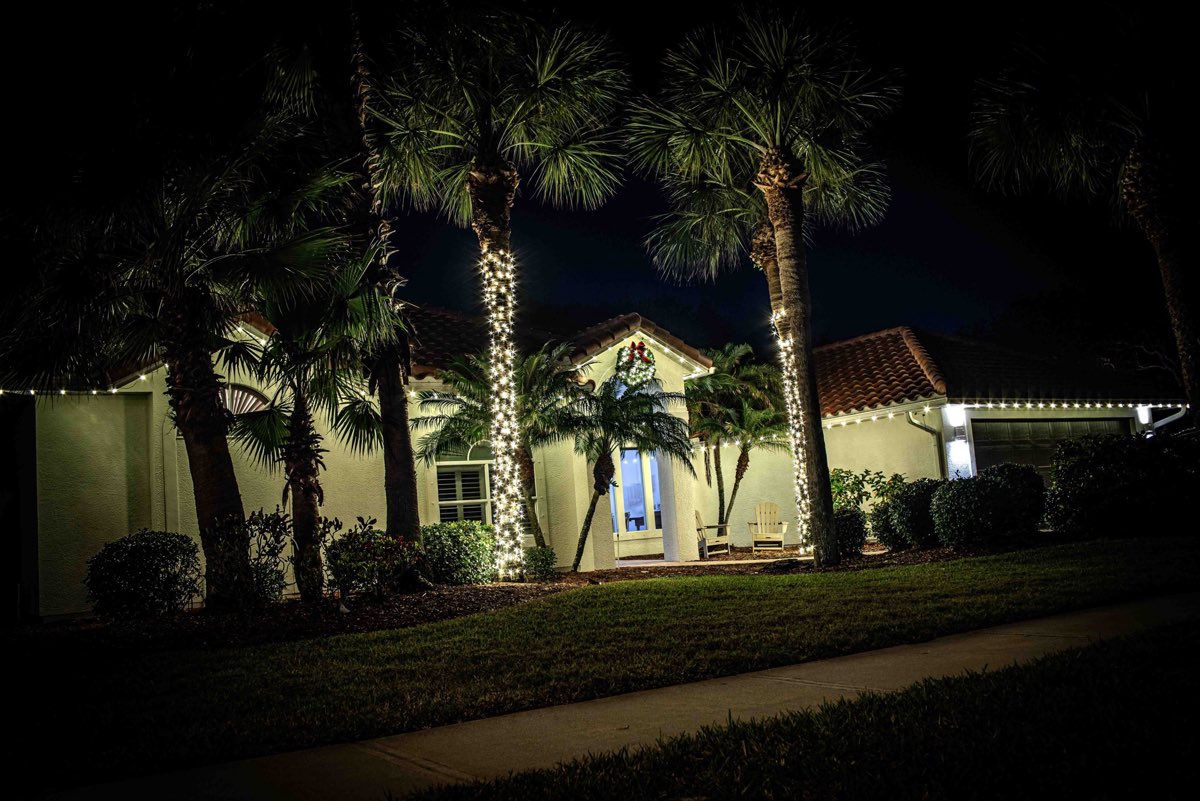 Warm White Classic holiday lighting installation
