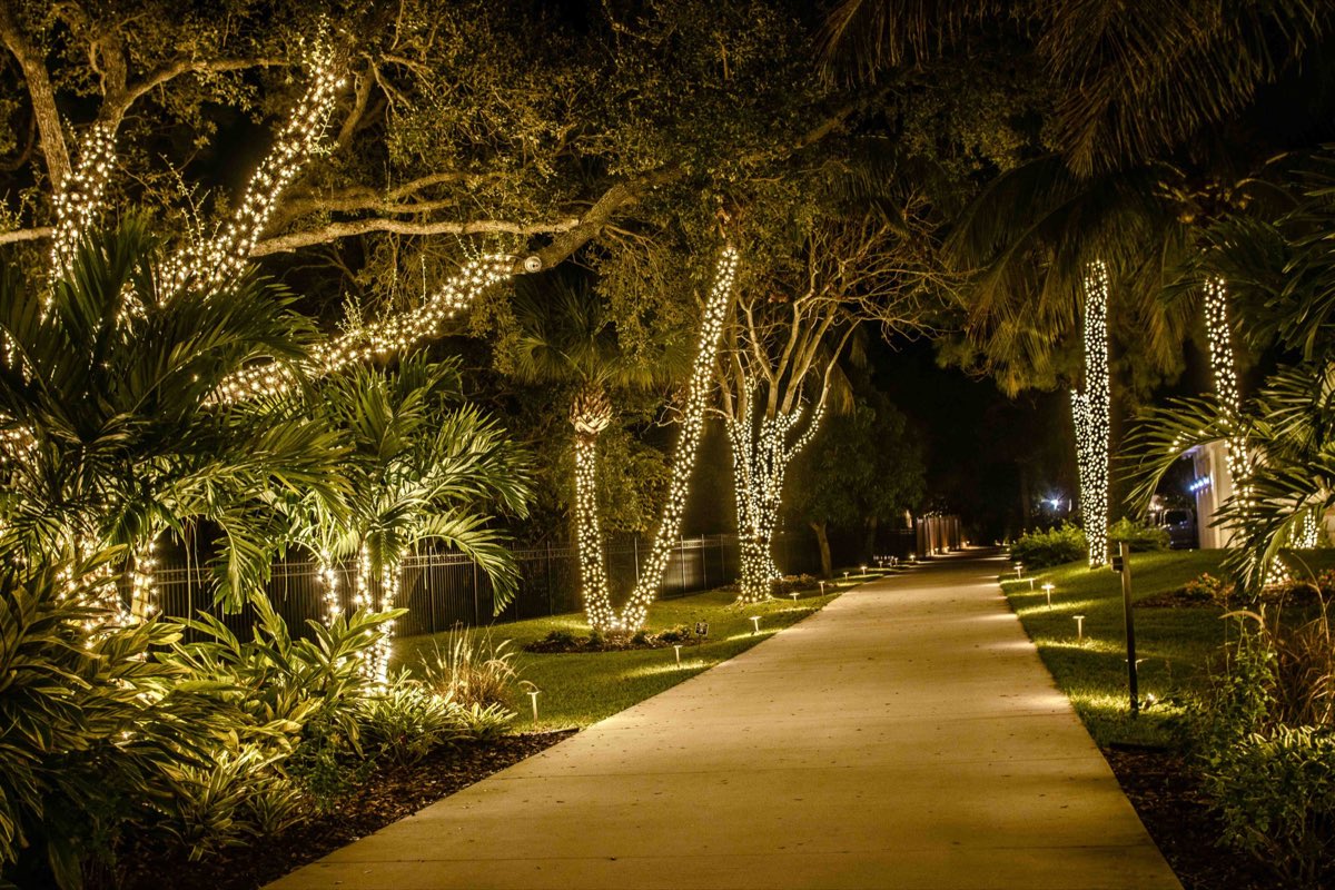 Bush & Landscape Lighting