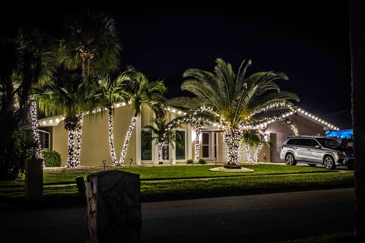 Palm & Tree Wrapping holiday lighting installation