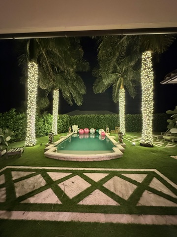 Warm white Christmas lights wrapped around palm trees beside a swimming pool