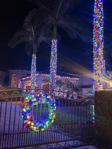Multicolor Christmas lights wrapped around tall palm trees and a front gate wreath